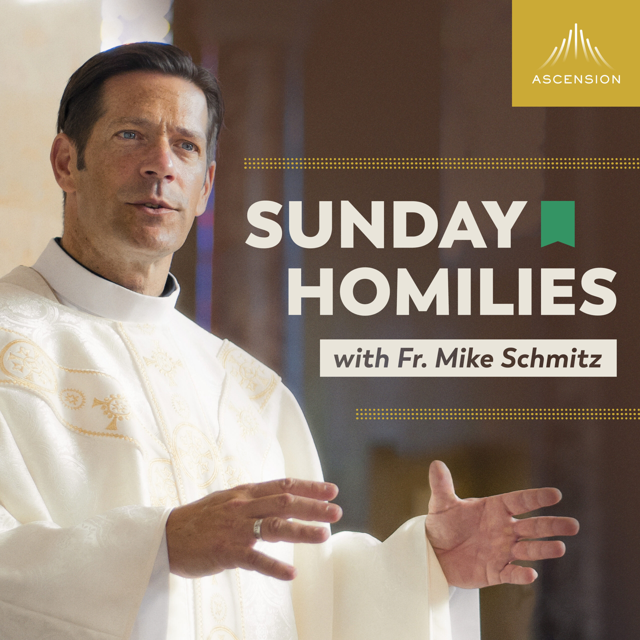Fr. Mike's Homilies: Trust in God | The Ascension Web App